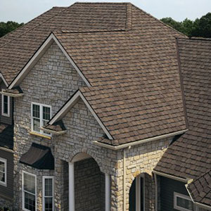 Siding & Roofing