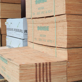 Plywood & Panels