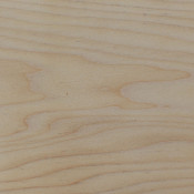 Poplar